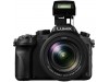 Panasonic Lumix DMC-FZ2500 (Extra Battery )